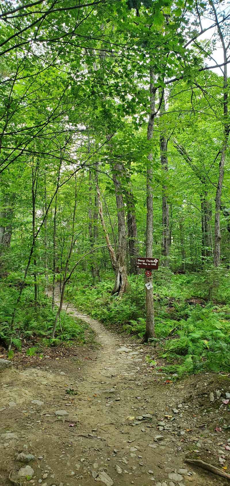 Local Children Use The Forest As Outdoor Classroom
