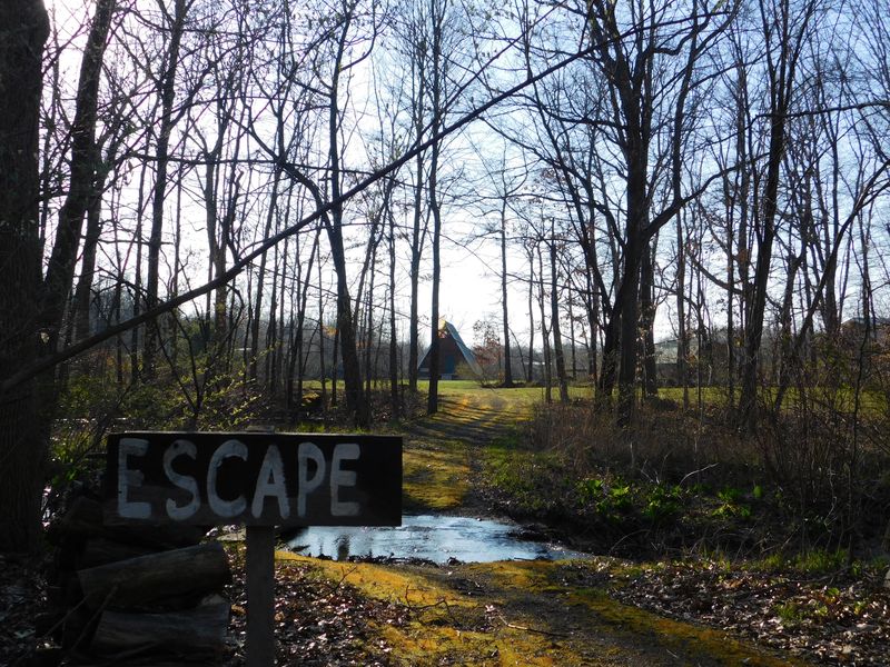 Where Secluded By Nature Really Means Quiet 