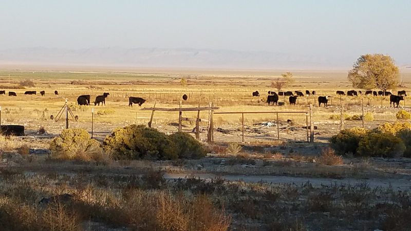 Real Desert Beauty Without The Tourist Chaos