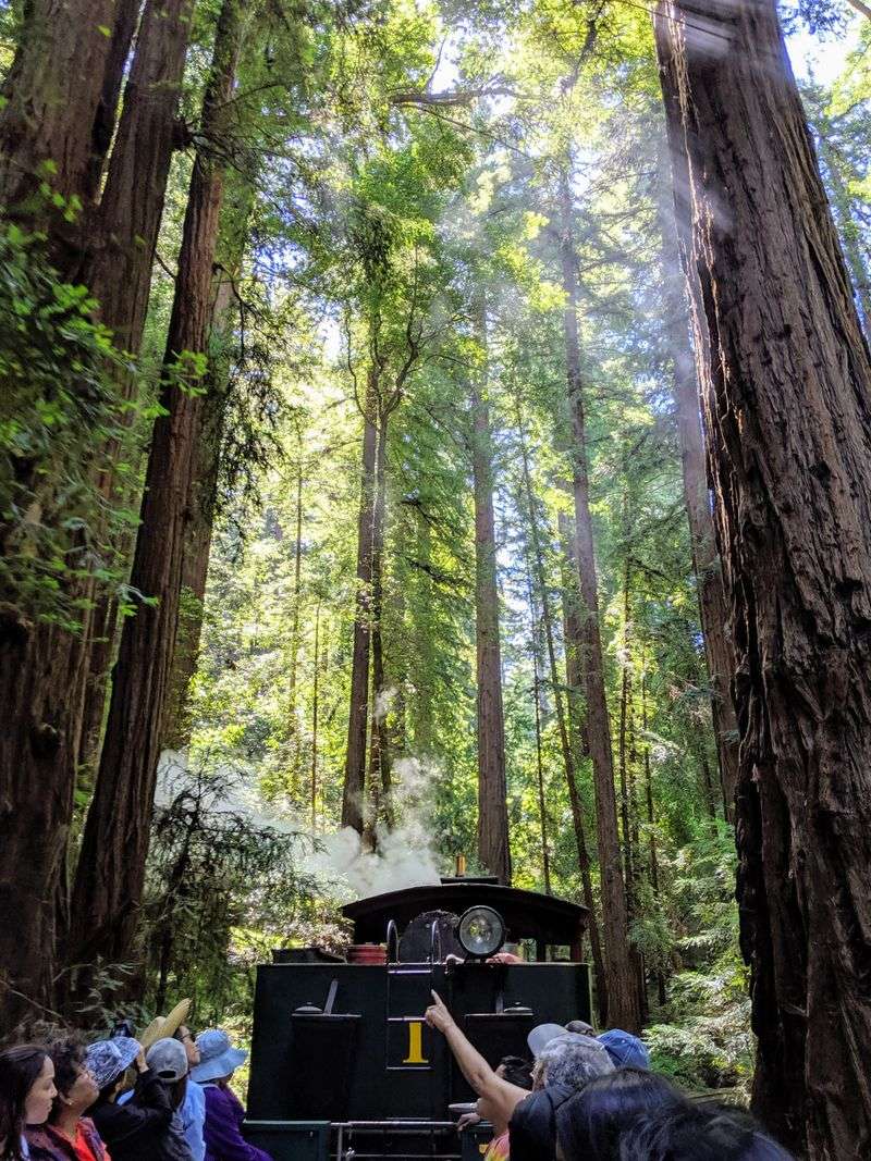 Roaring Camp Redwood Forest Steam Train (Felton–Bear Mountain)