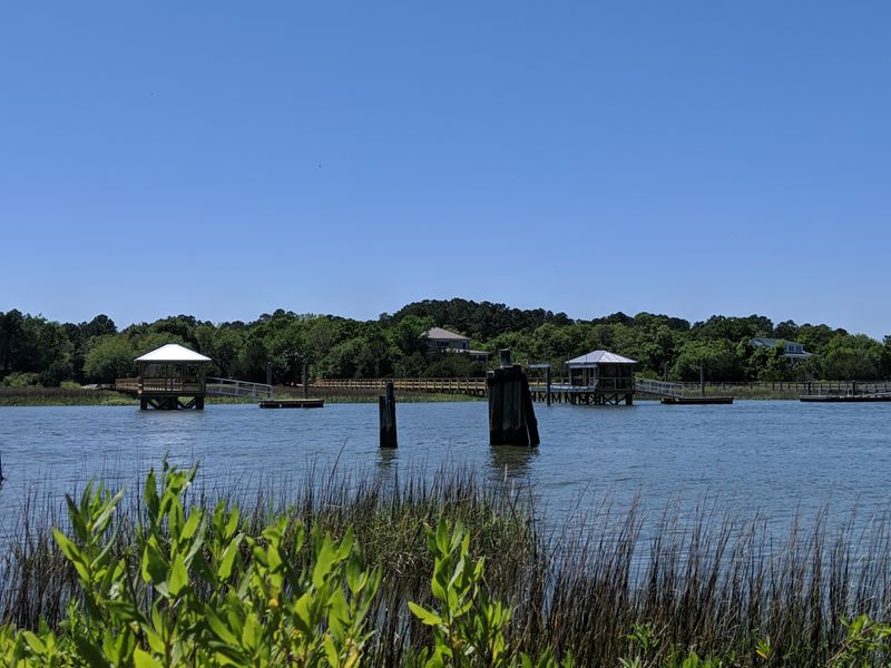 Forest-And-Marsh Trails Right Nearby