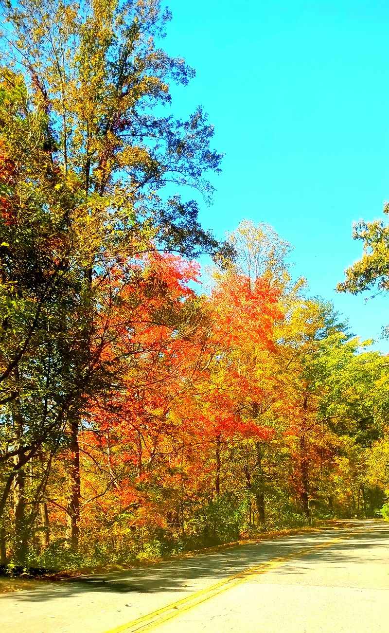 A Scenic Mountain Corridor Without Big-City Vibes