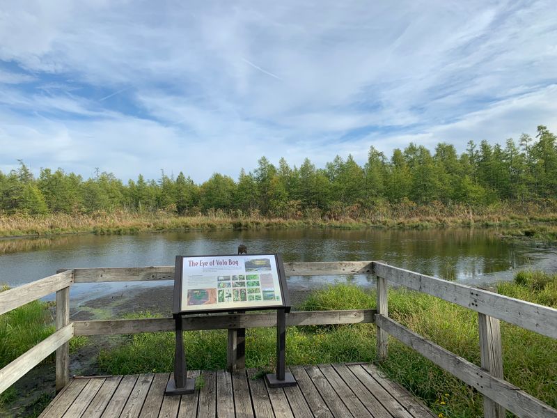 Volo Bog State Natural Area (Ingleside)