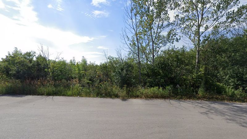 Somme Prairie Grove Nature Preserve (Northbrook)