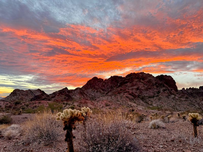 Kofa National Wildlife Refuge