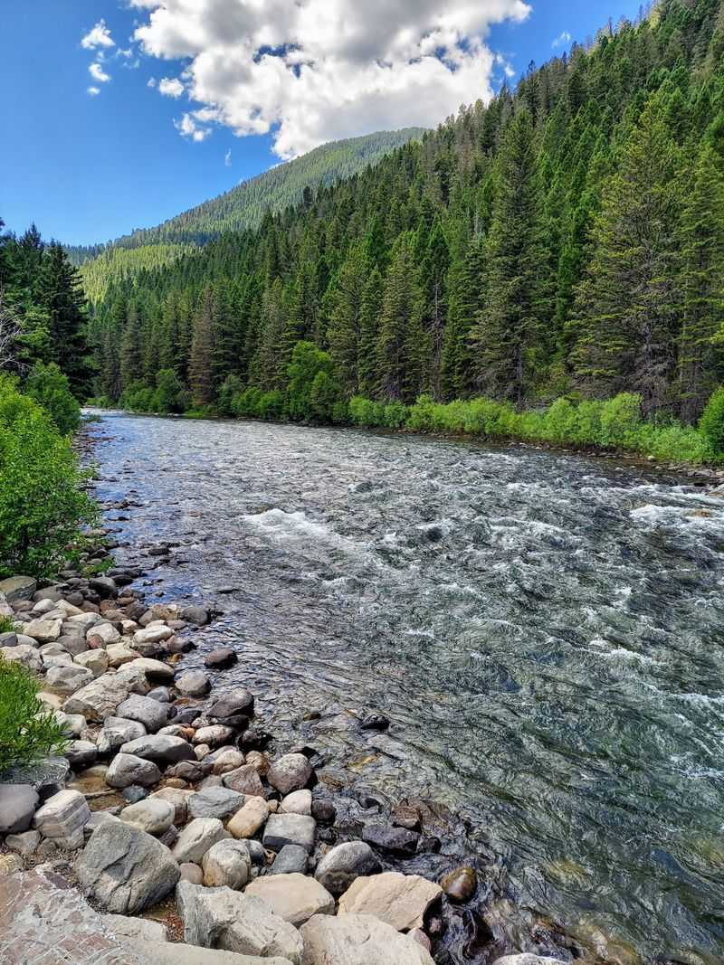 Olson Creek Dispersed Camping (Gallatin National Forest)