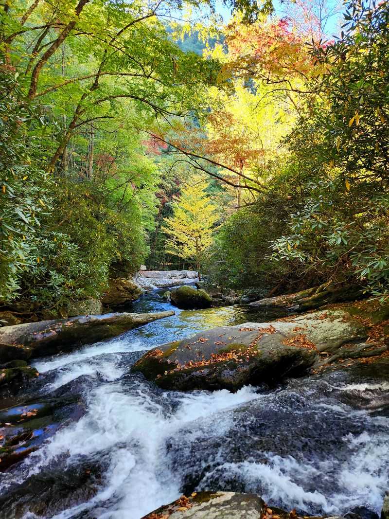 Middle Prong Trail To Indian Flats Falls (Tremont)
