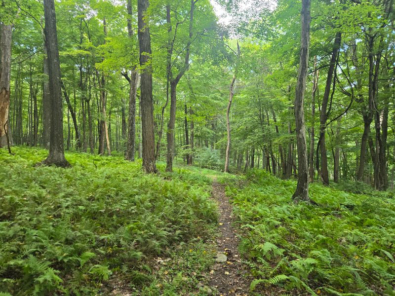 A Trail Network That Blends Rugged Ascents, And Riverfront Paths