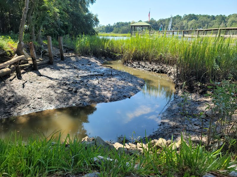 Kayak Marsh Creeks For Instant Quiet