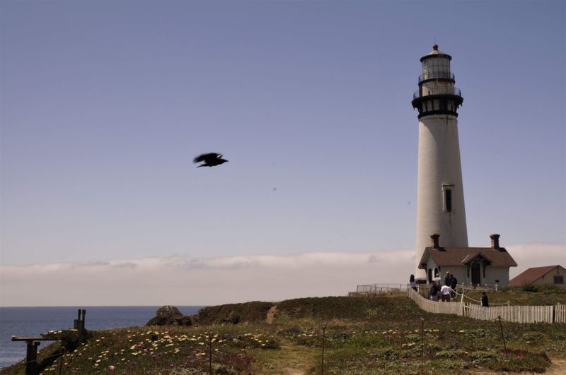 Just Minutes From Highway 1, Yet Somehow Easy To Miss