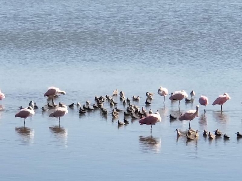 A Place Where Development Is Intentionally Limited