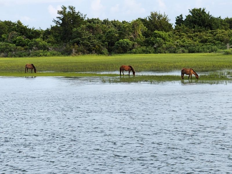 Beaufort (Crystal Coast)