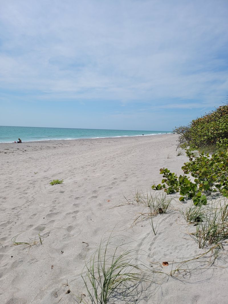 Stump Pass Beach State Park (Manasota Key / Englewood)