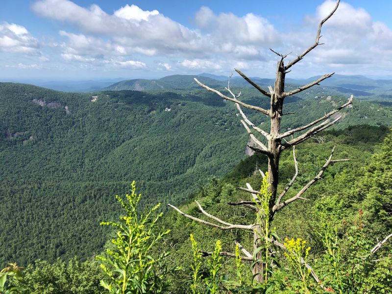 Whiteside Mountain Trail (Cashiers)