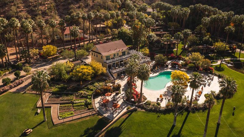 A Hidden Sonoran Desert Oasis