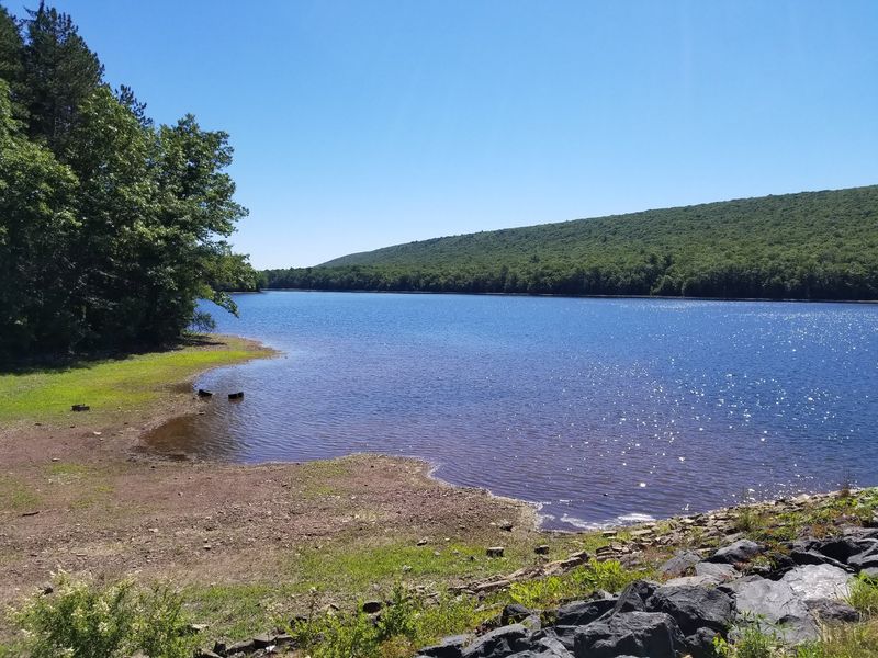 Coffee Shops, Boutiques, and Restored Storefronts Changing Main Street
