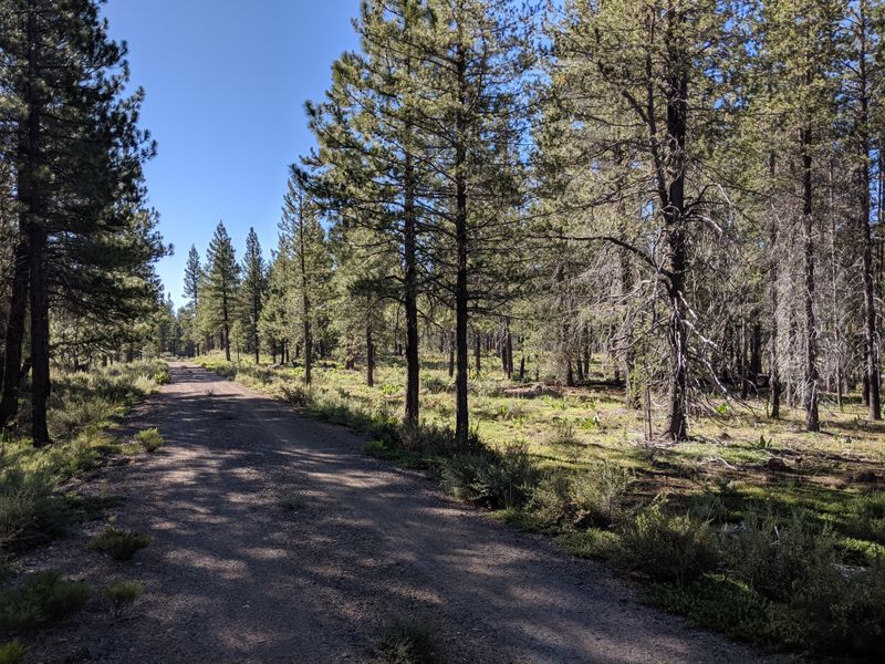 Why This Trail Deserves A Spot On Your California Bucket List