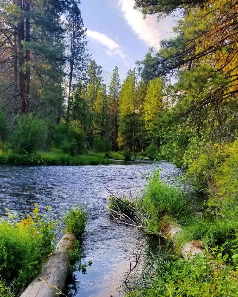 A Fly-Fishing Haven Known For Trophy Trout And Serene Riverbanks