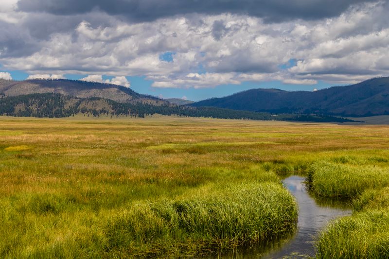Valles Caldera National Preserve (Jemez Mountains)