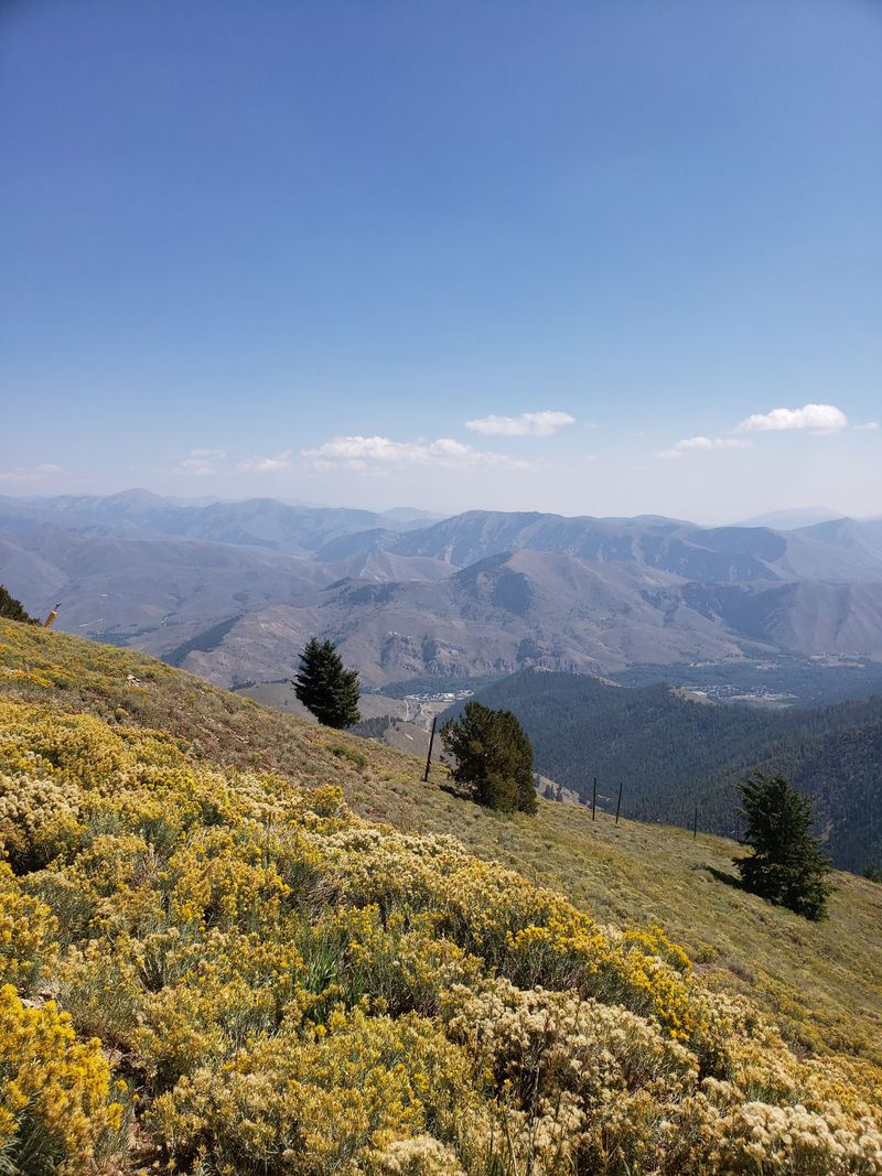 Why Sun Valley's Alpine Cabins Became A Year-Round Retreat