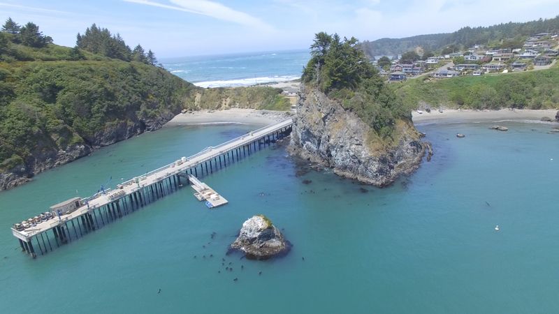 A Tiny Coastal Village Of 300 Hiding In Northern California’s Wild Beauty