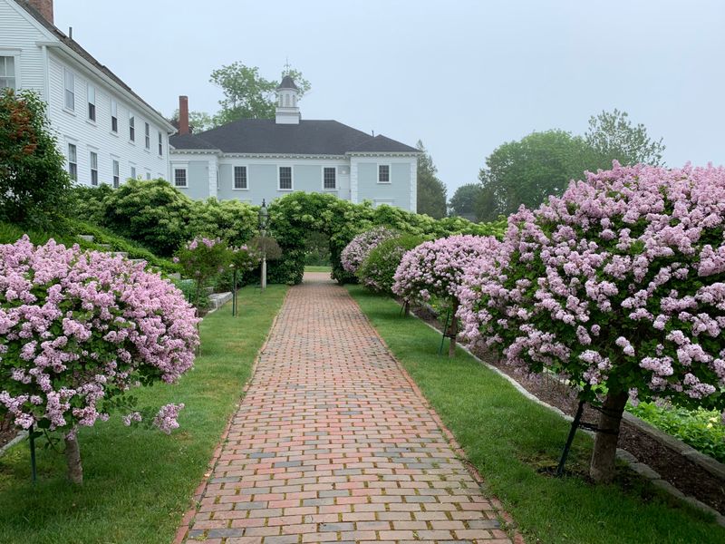 A Coastal Community Fueled By Arts, History, And Simplicity