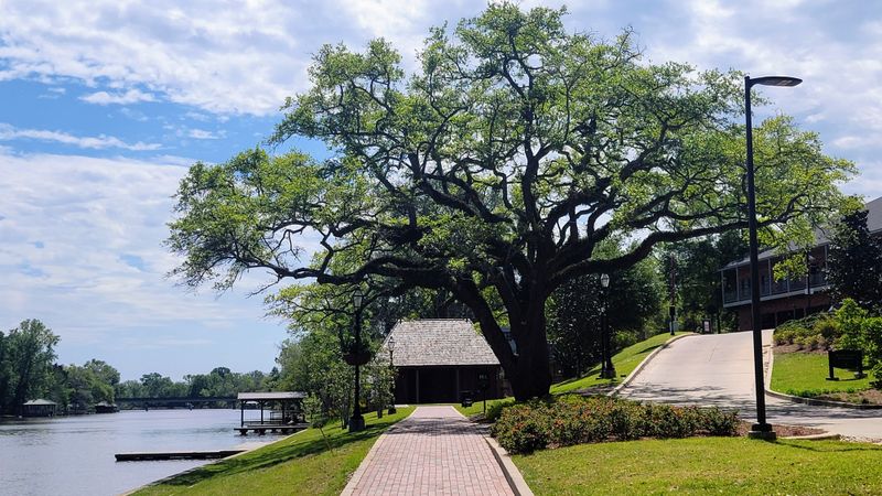 Architectural Influences Blend French, Spanish, and Creole Styles