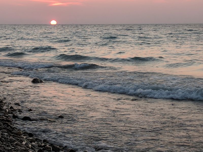 A Meal That Belongs To The Shoreline