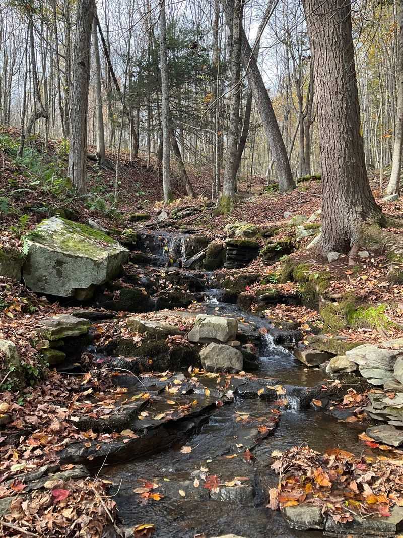 A Historic Green Once Lined With Grand Hotels, Now Quiet as a Whisper