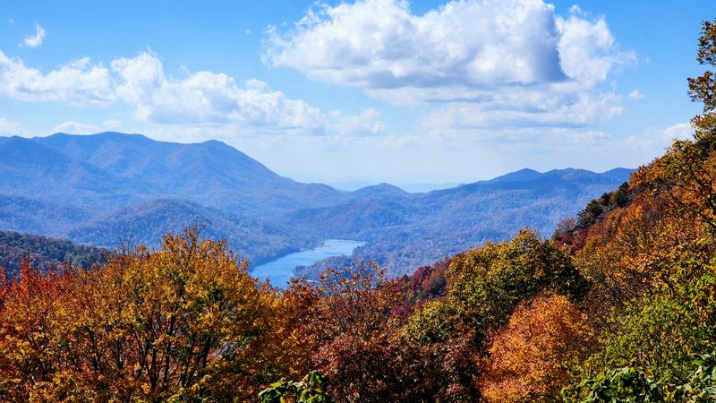 A Town Surrounded By Forest Roads That Feel Like Time Capsules
