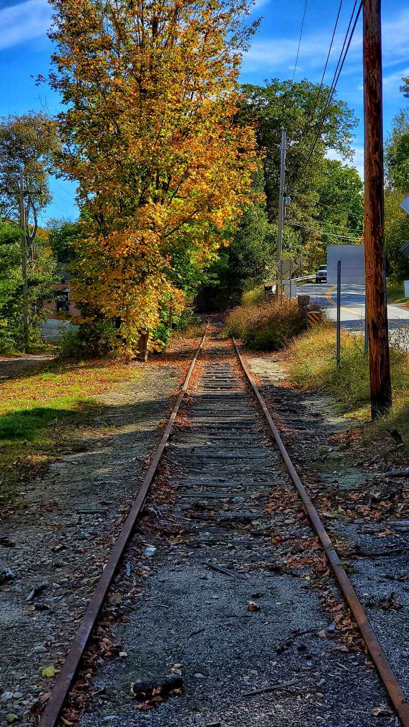 General Store Wisdom And Everyday Comfort