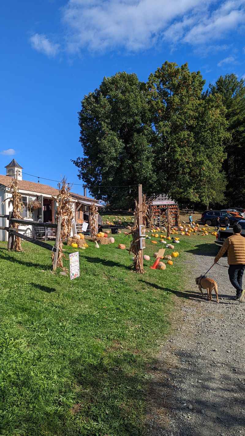 Quiet Roads Lead To Dreamlike Views Of Orchards, Meadows, And Mountain Ridges