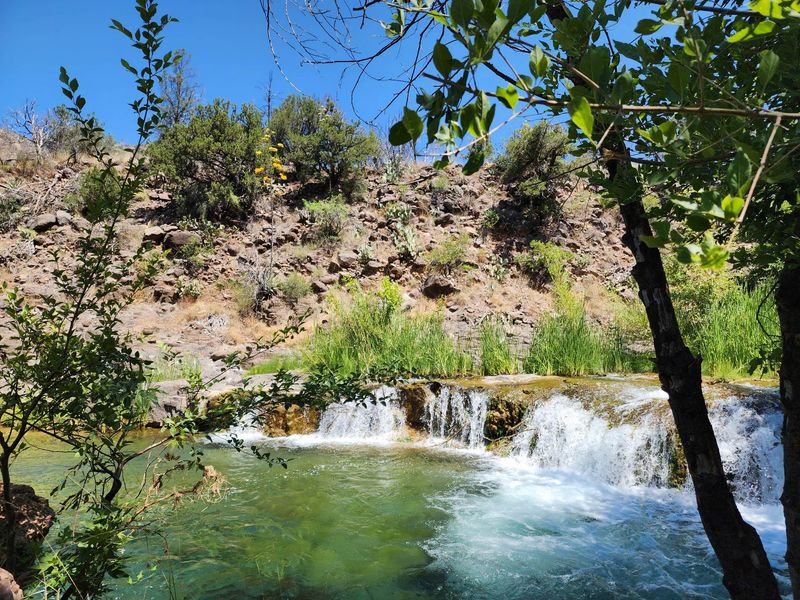 Arizona's Hidden Oasis In The Heart Of The Desert