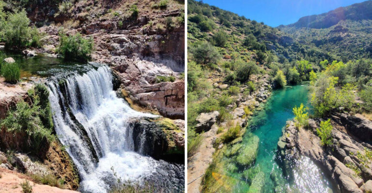 The Hidden Desert Oasis In Arizona That Locals Secretly Love