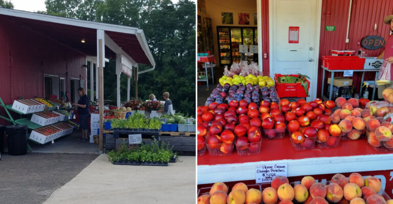 The Hidden Michigan Roadside Stands Where Locals Buy Their Fresh Produce