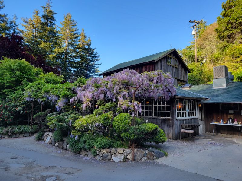 A Sanctuary For Artists, Writers, And Travelers Seeking Solitude