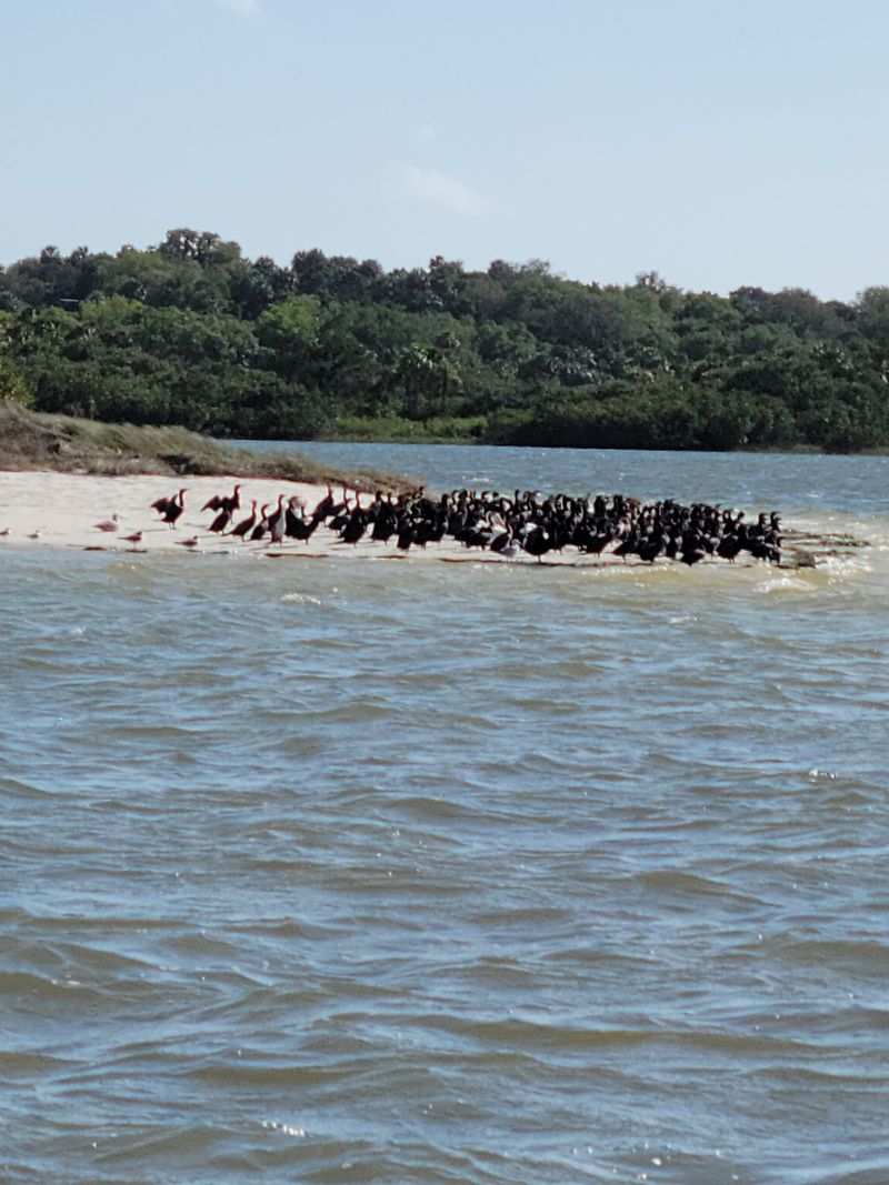 Wildlife Refuges Surround The Town On All Sides