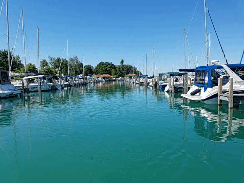 Elk Rapids Is A Tiny Harbor Village Most Tourists Drive Past On Their Way To Traverse City