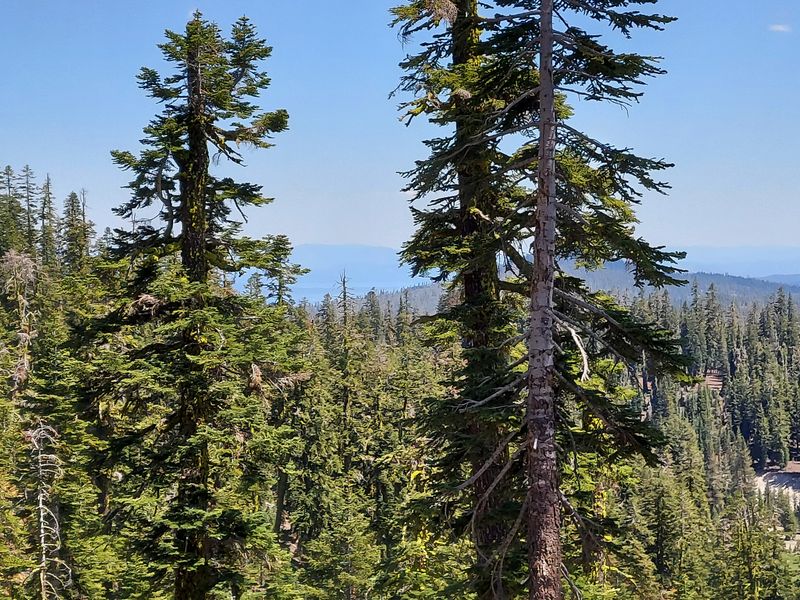 Lassen Volcanic National Park Is A Straightforward Day Trip