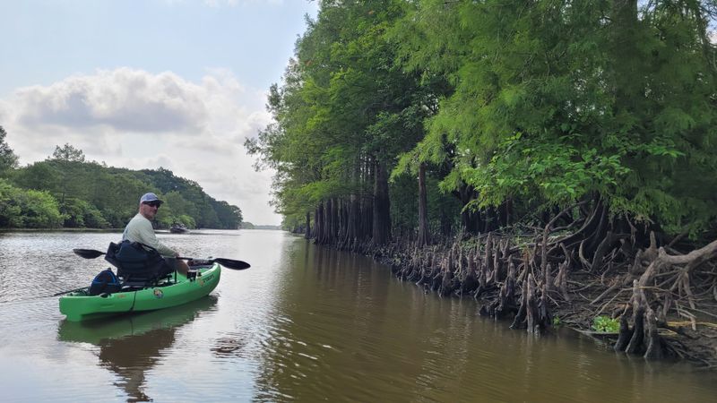 Gateway To The Atchafalaya, Not A Tourist Set