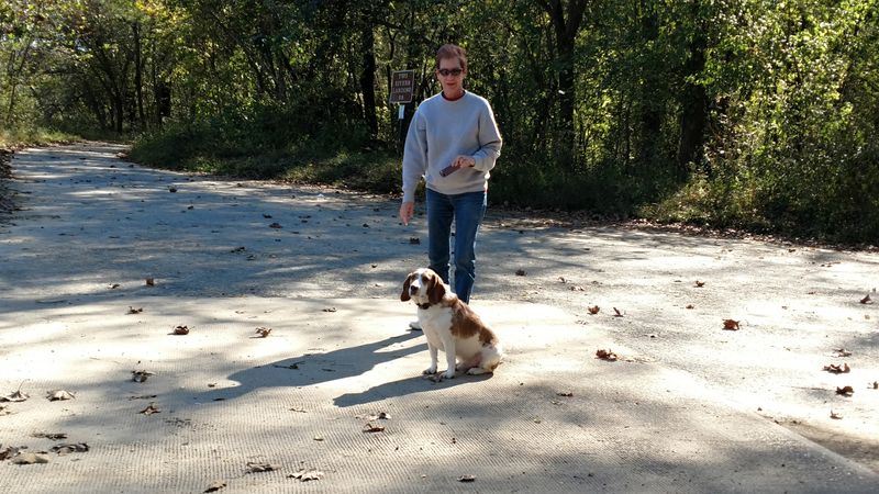 Unplug And Unwind: The Appeal Of Life Without The Buzz Of Technology