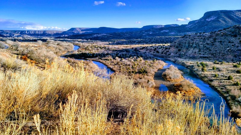 A Hidden Desert Oasis With Deep Roots