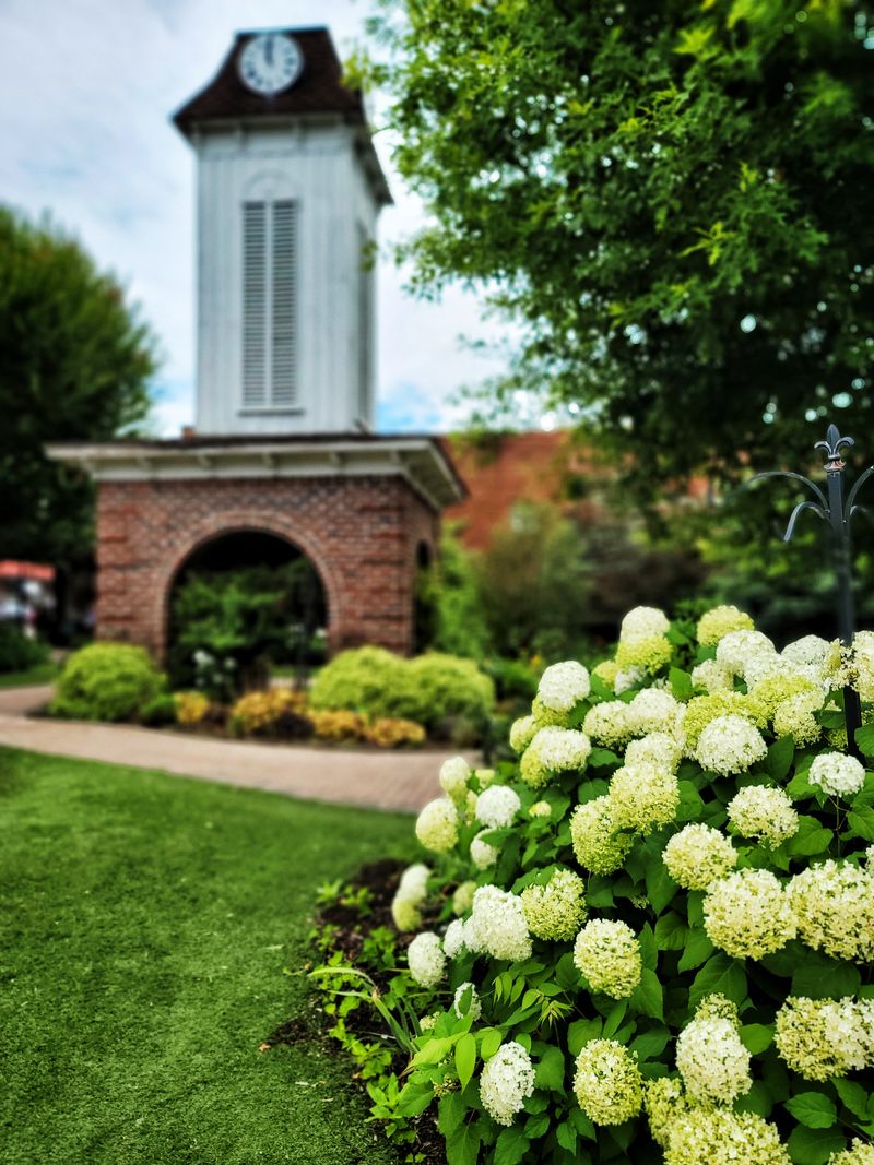 A Main Street That Still Looks Like A Snapshot From The 1950s