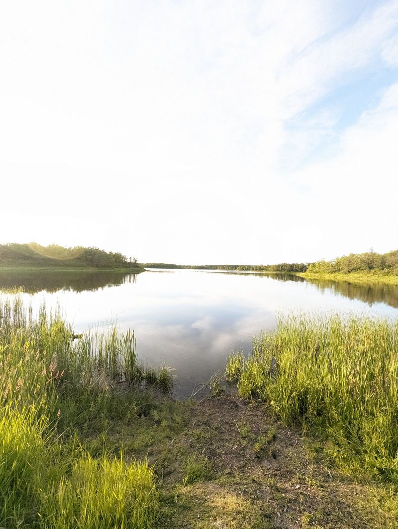 Morning Light On The North Bay