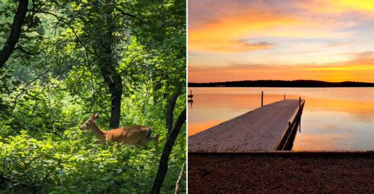 The Peaceful North Dakota Lake That Locals Visit For Solitude And Tranquility
