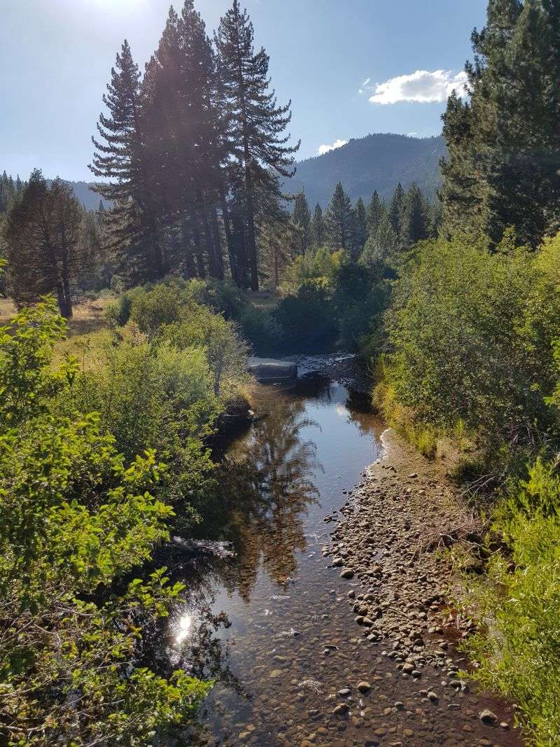 A Roadside Turnoff That Feels Like a Hidden World