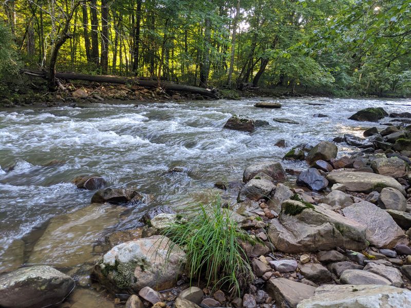 A Trout Hatchery That Brings Statewide Importance To A Tiny Place
