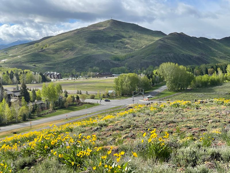 Ski Slopes By Winter, Trail Paradise By Summer