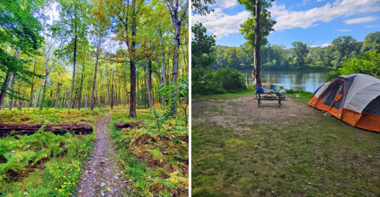 The Unlikely New Jersey Forest That’s Now A Magnet For Adventure Seekers And Nature Lovers