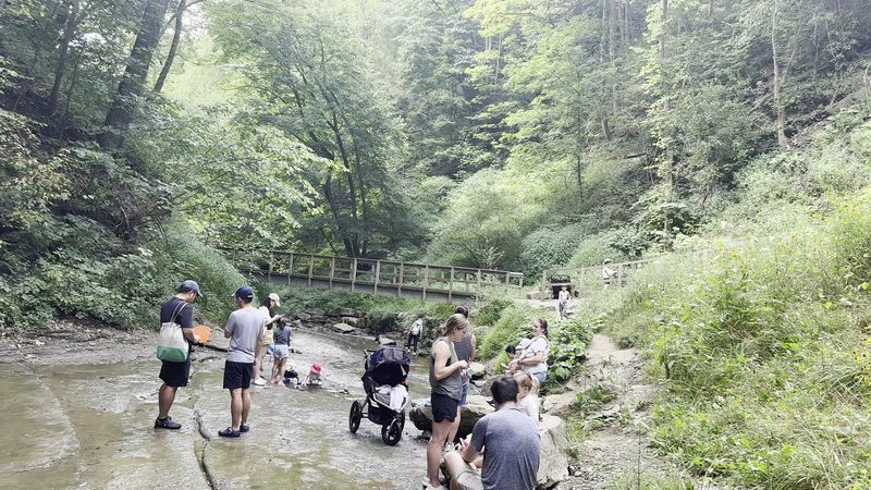 A Family-Friendly Hike That Locals Prefer To Keep Low-Key